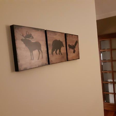 My Home In Oporto Maía المظهر الخارجي الصورة